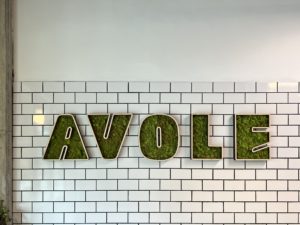 Cafe Avole Soft Opening1